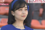 #韓国記事翻訳　『日本の美しい姫に関心が殺到』、『美しい？どこが？こんな猿の末裔にはバナナでも一つ投げてやれww』
