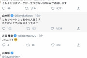 【山本彩】さや姉、真相に迫る