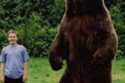 【クマー】人間が熊には絶対に勝てないとわかる画像