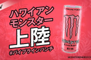 ゲーマー「エナジードリンクは1日1本を限度にしろ、カフェイン中毒でガチで死ぬ」