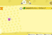 【あつ森】たぬきショッピングでフレンドにおくるって出ないんだけど原因分かる？【どうぶつの森 まとめ】