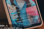 【日向坂46】加藤史帆の配信に愛する人がコメントｗｗｗｗｗｗｗ