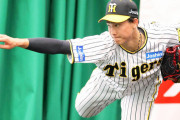 阪神　湯浅京己が７日のシート打撃に意欲　ＷＢＣに向け登板「自分の中の実戦感覚を取り戻したい」