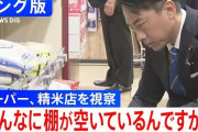 小泉農相「こんなに棚が空いてるんですか」発言にフィフィ驚き「政治家は庶民の生活を知らないんだね…まぁ頑張って下さい」
