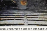東工大教授が指摘「福島第一原発原子炉内“謎の生物”が！」　なんと格納容器内にプランクトンがいた　世の中のニュースで語ろうぜ！