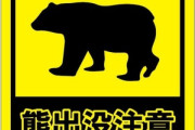 【悲報】クマ､庭で飼っていた柴犬を咥えて持って行く