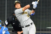 阪神・井上が変わった　打席の雰囲気まるで別人　ボール球を見逃せることで自分のポイントで捉えている