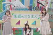 乃木坂46、櫻坂46、日向坂46の月間フォロワー増加数を比較した結果・・・