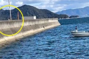 【動画】広島の大竹港で釣り人と漁師が大喧嘩してしまうｗｗｗｗｗ