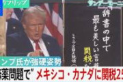 【地獄】トランプ「関税！関税！さっさと関税！しばくぞ！！」→こうなる