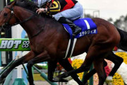 マイルCS覇者ステルヴィオが引退…今後は乗馬の予定