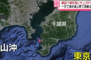 東京湾、潜ってみると驚きの光景…海水温上昇で漁業は打撃！