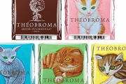 チロルチョコが「テオブロマ」とコラボ！全国のセブンイレブンで先行販売！！