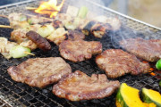陽キャ「おめーらBBQするぞ！」チｰ牛「きた！」←持ってきそうな物ｗｗｗｗｗｗ