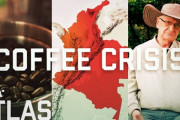 「温暖化は深刻な問題」地球温暖化と需要増でコーヒー豆が危機に 海外の反応