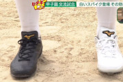 甲子園で解禁された「白いスパイク」 黒より10度も涼しい