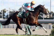 【競馬予想】[2]第55回 スプリンターズステークス(G1)/2021