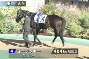 バステールを新馬で負かしたゴーラッキーについて