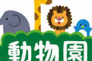【職レポ】”動物園飼育員”だけどなんか質問ある？