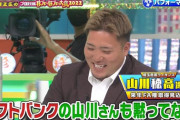 【悲報】西武・山川、ザキヤマのせいでＳＢへ移籍しづらい雰囲気になるｗｗｗｗｗｗｗｗｗｗｗｗ