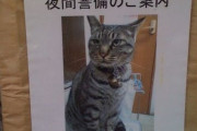 【画像】 新手の里親募集ポスター【再】