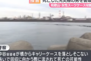 交際相手を殺害、バラしてキャリーケースに入れ、重石を入れ川に捨て…そこない川に落ち溺死