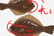 ヒラメとカレイを見分けるライフハックを教えてやるよ