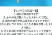 TV「マンボウは3億の卵を一度に産み2匹しか生き残りません」　私「3億の卵産むかわからないし、2匹はデタラメです」