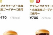 【悲報】モスバーガーさん、思ったより大幅に値上げ