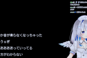 【ホロライブ】かなたそガチの放送事故です