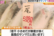 【悲報】「一尾５９８０円」 サンマ、インフレする