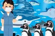 【朗報】東京・すみだ水族館、3か月営業再開　「ペンギン3匹分」のソーシャルディスタンス徹底