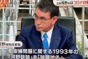 【悲報】河野太郎「１９９３年の河野談話を踏襲する」蒸し返しへｗｗｗｗｗｗ