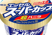 スーパーカップのバニラ初めて食べたけど美味いね