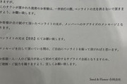 日向坂46運営、現地のおひさまにあるサプライズをお願いしてた模様...【3回目のひな誕祭】