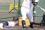 【阪神】「対左腕」の強さは健在　前川右京がライブBPで新外国人ルーカスから２本の安打性打球