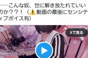 【吉報】生身を出すVtuber、『Wtuber』爆誕wwwww