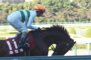●競馬見ててガチで叫んだ瞬間