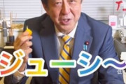 【悲報】安倍晋三チャンネル、伸び悩む…こんなに可愛いのに何でや
