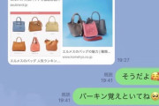 【悲報】弱男「バーキンに似たバッグが2990円で売ってる！買おうか？」→女さんドン引きへｗｗｗｗ