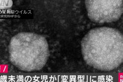 【速報】東京都の女児が変異ウイルスに感染