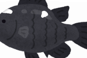 光を99.5％吸収する「世界一黒い魚」が発見される