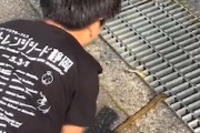 【動画】下校中にヘビと格闘して捕まえてしまう田舎の小学生強すぎワロタ。