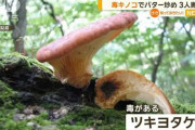 知人から貰ったキノコをバター炒めに → 病院へ搬送