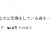 【ツッコミ待ち】立憲民主党議員「自民党政権を下野させるのに邪魔をしている者を一つあげてください」