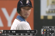 日ハム王柏融のオープン戦成績ｗｗｗｗｗｗｗｗ