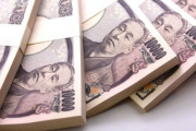 結婚は金じゃないと言っておきながら自分でフった金のある兄に平気で近づいてくる神経がわからん
