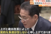 少子化対策･子育て支援金の毎月徴収､岸田首相｢賃上げで実質的に国民の負担は増えない｣と再度強調