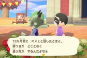 【悲報】どうぶつの森、ど田舎の監視社会だった