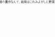 ママさん『ちょっと、あんたウチの畑で何しているの？』私「ウチの畑？」ママさん『通報してもいいけど、採った物は仕方がないから売ってあげる。３千円でいいわよ』→その後・・・